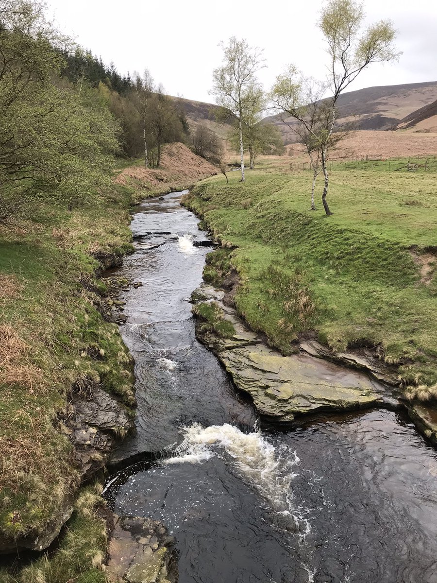 Derwent howden dam walk