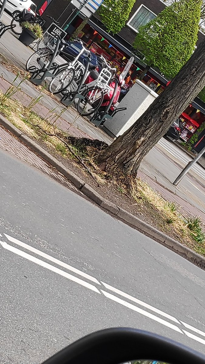 Opvallend dat op het kruispunt in Doorn de 'vegetatie' er uit ziet alsof er al een hele zomer geen regen is geweest. De overkant van de straat ziet er een stuk beter uit.. <a href="/gem_heuvelrug/">Utrechtse Heuvelrug</a> <a href="/AHaaXma/">Anouk Haaxma</a> 
We moesten naar meer kleur in het groen, maar niet zo denk ik 🫣😅