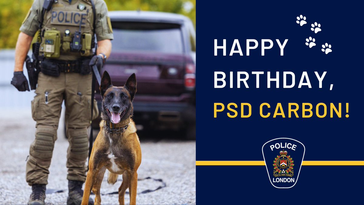 Today is Police Service Dog Carbon’s big day! 🎉 Join us in wishing him a very happy birthday celebration. May your day be filled with endless treats and well-deserved belly rubs for all your hard work. Here's to many more years of service and tail-wagging adventures! 🎂 #LdnOnt