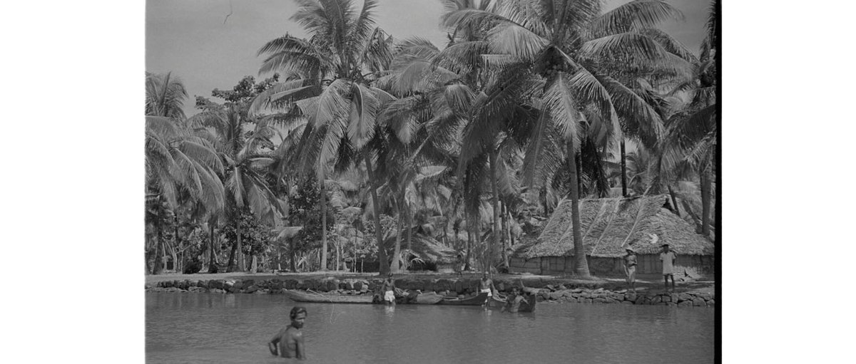 This idyllic image of a canal in Kerala was taken in 1947 by anthropologist Christoph von Fürer-Haimendorf. Running inland near the coast of the Arabian sea, these were an important means of transport, especially for coconut husks #EYANature