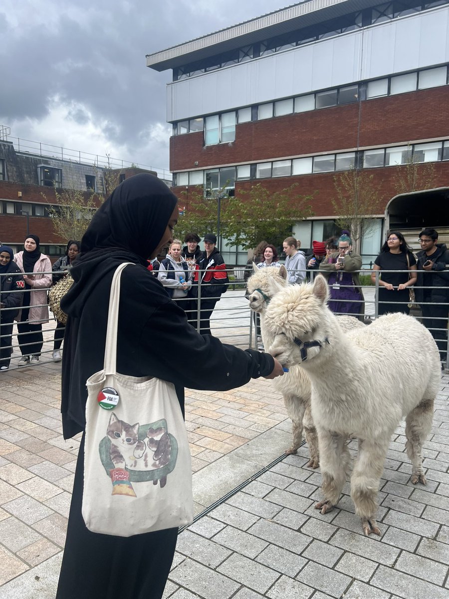 UCLan Students' Union - INACTIVE tweet media