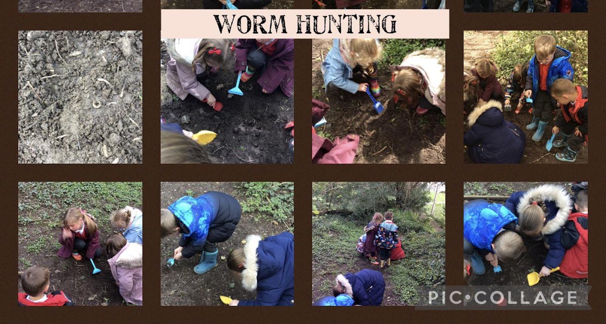 Reception class have loved mini beast and worm hunting #WalesOutdoorLearningWeek