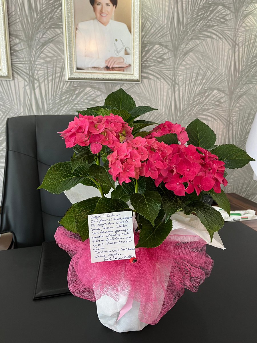 Yarın yapılacak olan kongremiz sonrasında atanacak olan yeni İl Başkanımız için hayırlı olsun çiçeğini odasına bıraktık.

Değerli İl Başkanım;
Yeni görevinizi tebrik ediyorum. 
İlk hayırlı olsun çiçeğinizi benden almanızı istedim.
Yeni dönemde yapacağınız kıymetli