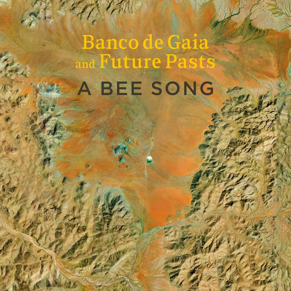 Excited to announce the release of my collaboration with Future Pasts, A Bee Song, a re-composition based on a 1954 recording of a Damara praise song held by Basler Afrika Bibliographien: Spotify spoti.fi/3w94Uns Apple apple.co/3w94VI2 Amazon amzn.to/4b9BzrW