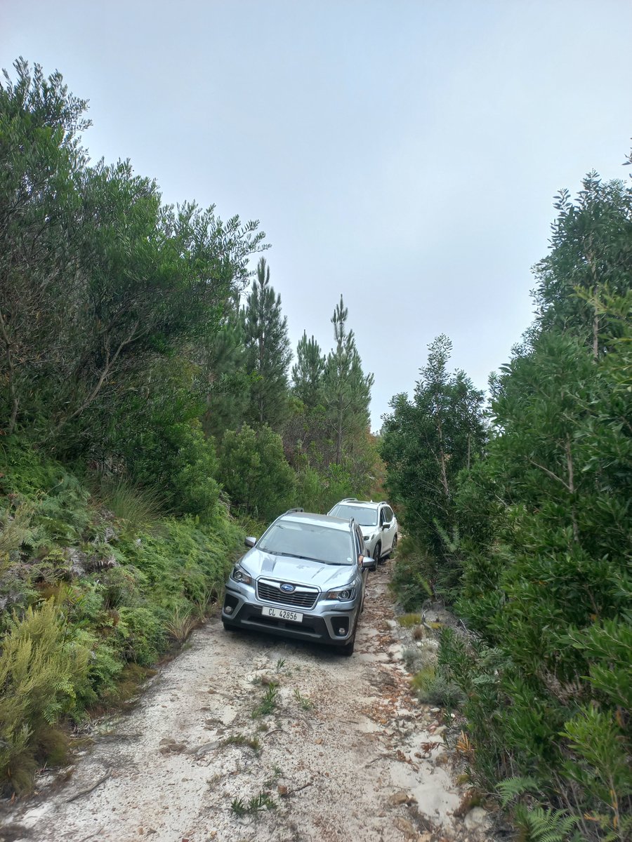 Don't just dream it – live it! Our Grabouw off-road training is your ticket to an unforgettable adventure filled with adrenaline, exploration, and endless possibilities. It's time to make your off-road dreams a reality.
#livetheadventure #AWDexperience #offroadtraining #trainings