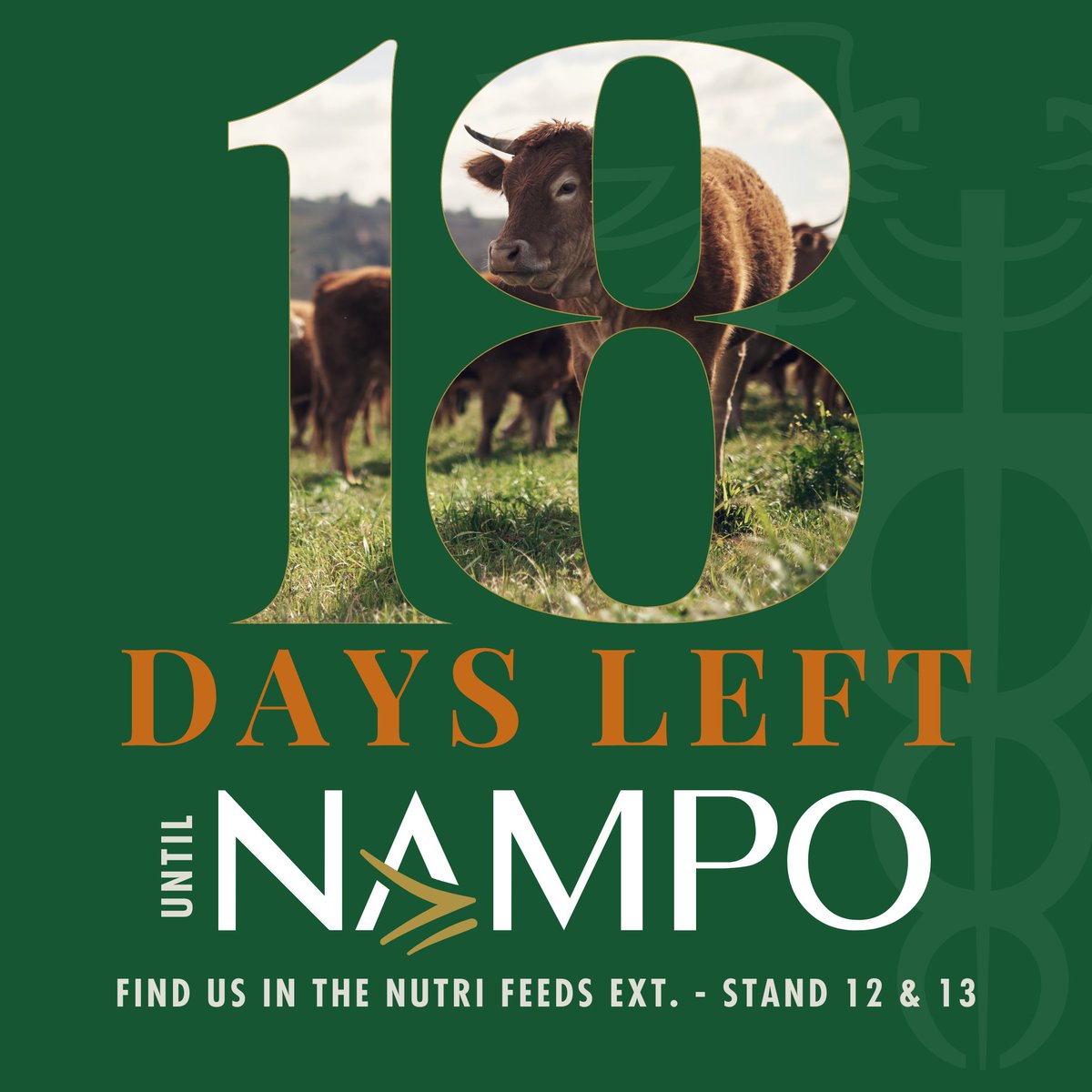 Only 18 days until @GrainSA #Nampo2024!🤩

We're gearing up for the ultimate agricultural showcase, and we want YOU to join us!

Come visit us at Stand 12 & 13 in the @NutrifeedsSA Extension and discover our innovations in livestock management, animal health, and agri-solutions.