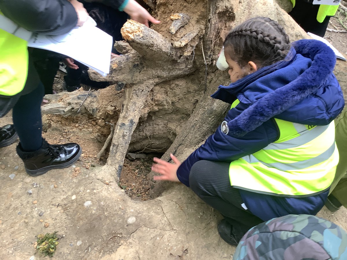 Year 2 visited Highgate Woods to work with @FiringLondon where they learnt about the Romans, they even made necklaces made from Quercus Oak!