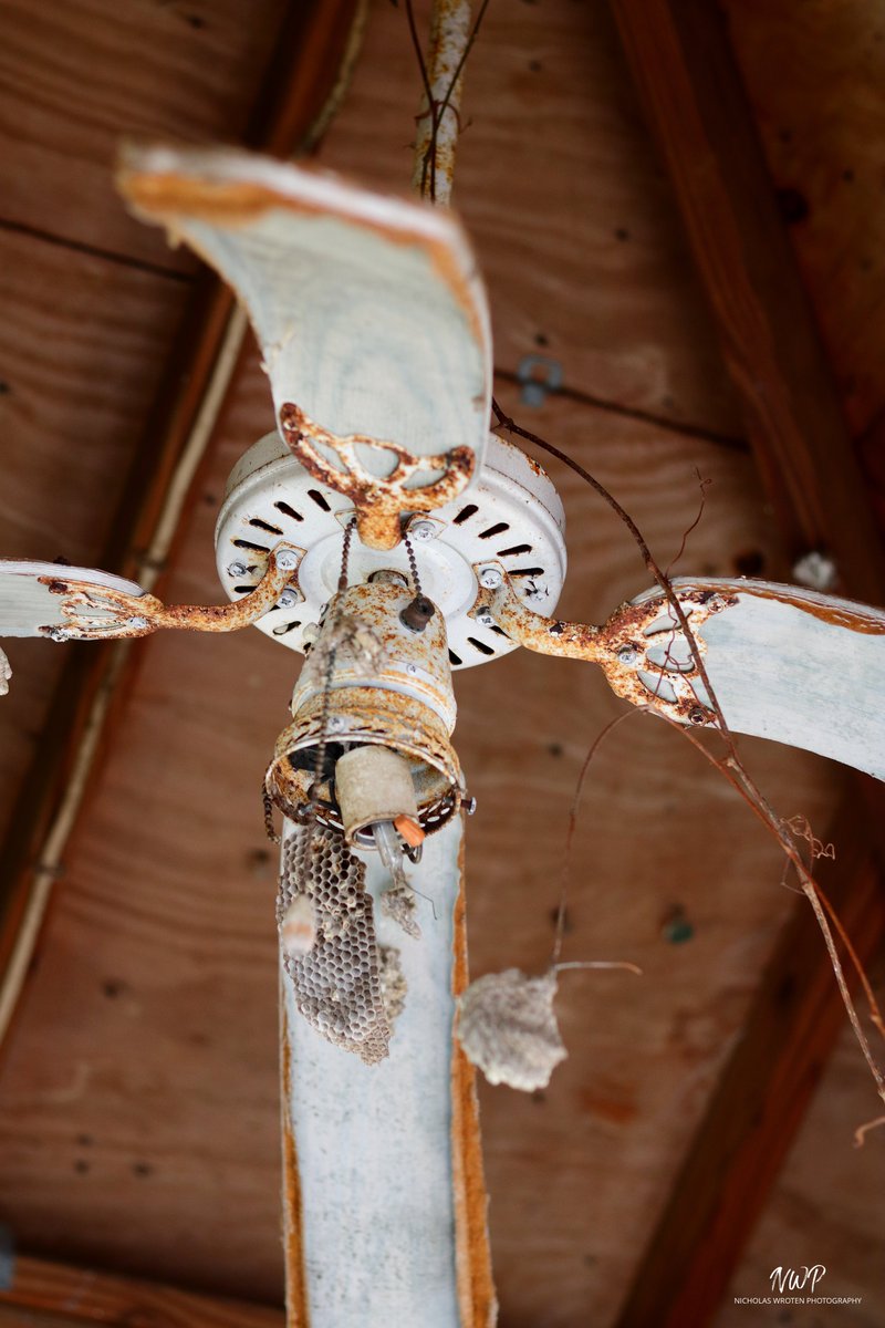 The beauty of decay.

📍 Location: Tampa FL
📷 Camera: Canon EOS 2000D

(Tags)
#urbex #abandon #hiddengem #droopyfans #ceilingfan #waspnest #rust #rustic #decay #lowlight #florida #nautrallight #naturallightphotography #tampabayarea #canon