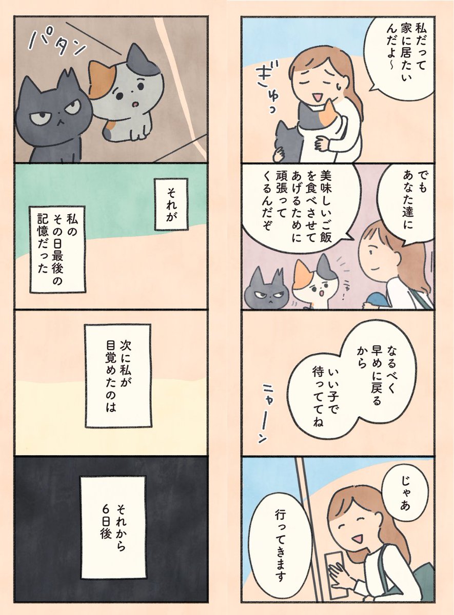 もしもなんて来ないと思ってた猫(1/12) 