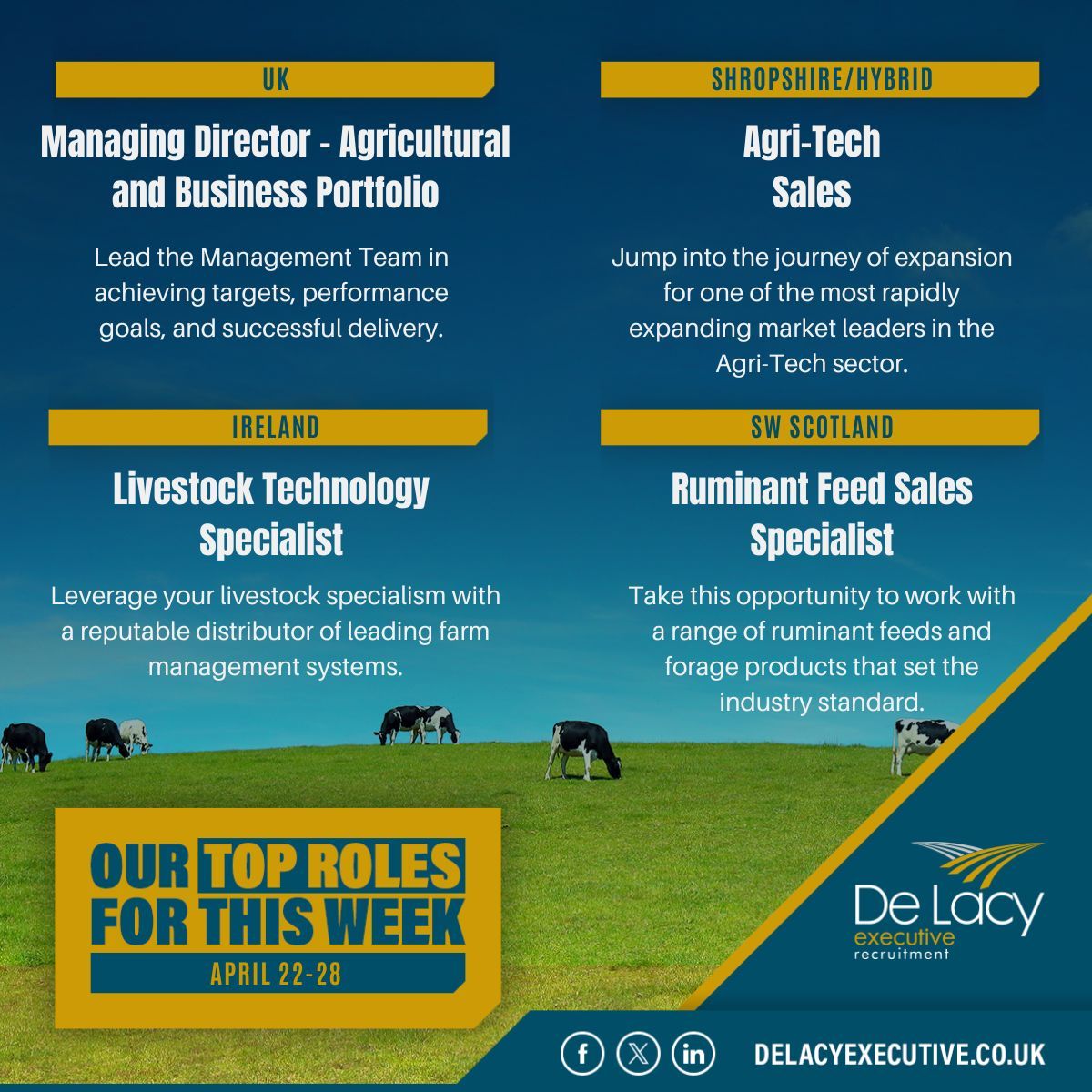 Top Roles for This Week: April 22-28 ⬇️ 

From a #ManagingDirector and #AgriTech Sales to a #Ruminant Feed Sales Specialist and #Livestock Technology Specialist, these are our Top Roles for This Week! 

Explore these #careers & more: delacyexecutive.co.uk/job-seekers/jo…

#UKAg #UKJobs #AgJobs