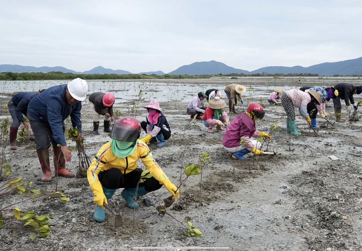 Hainan aims to become ecotourism hotspot 🌏! Its wondeful to visit the tropical island 🌳 of Hainan with is white beaches, lush rain forests, its mountains and mangroves and cultural heritage. Hainan is a pilot province for many green developments in China. The air quality is…