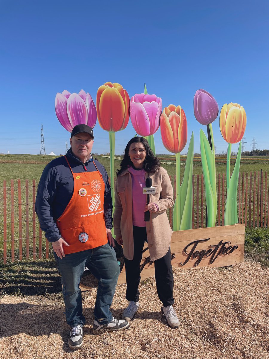 Big thanks to @HomeDepotCanada for sponsoring #weatherAM this morning !! 
We are showcasing Tasc #tulip farm in Ridgeville, ON! Join me on @weathernetwork . Revealing plant of the year, veggie of the year & how you can gain exclusive access to 2 million tulips !!!!