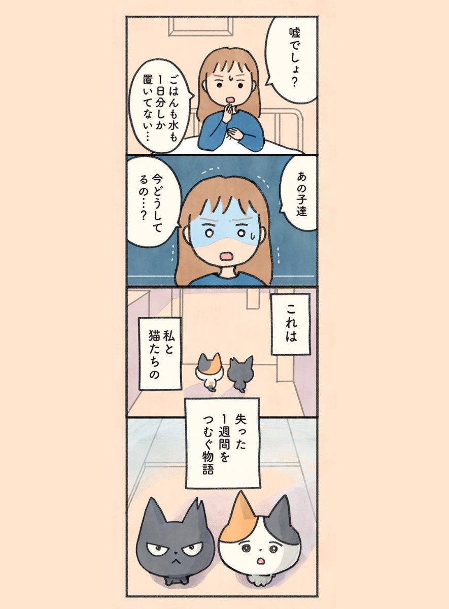 もしもなんて来ないと思ってた猫(2/12) 