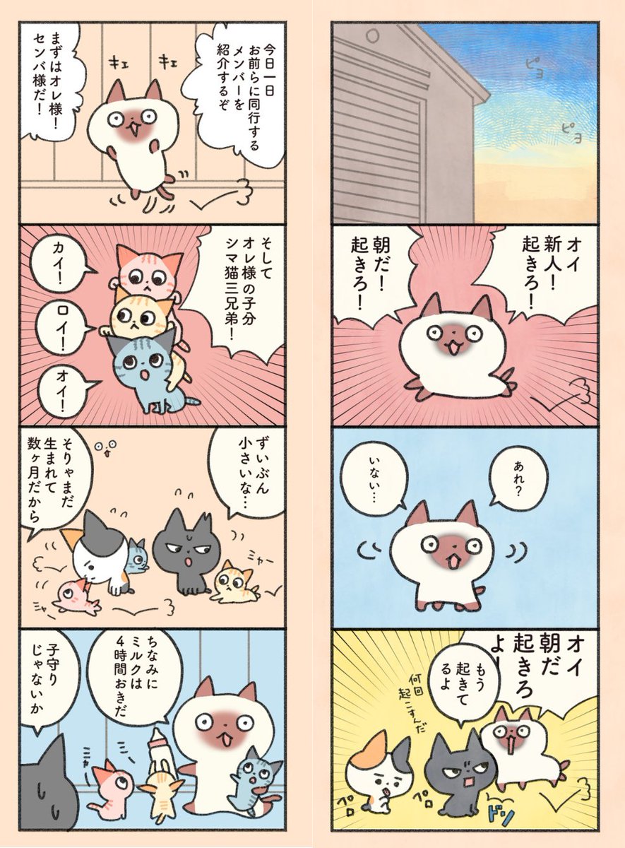 もしもなんて来ないと思ってた猫(5/12) 