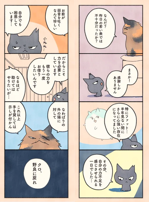 もしもなんて来ないと思ってた猫(10/12) 