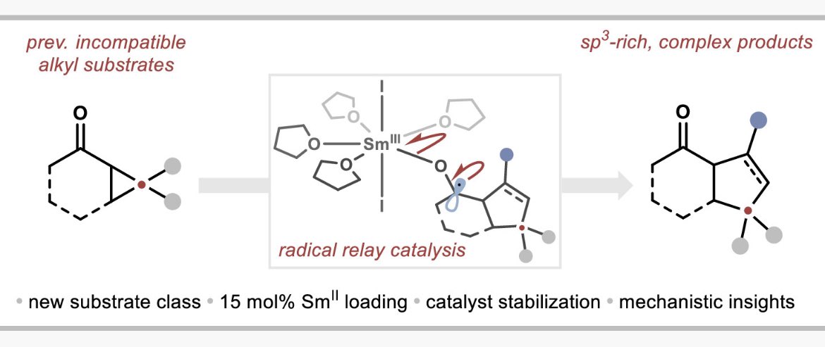 Procter Group tweet media