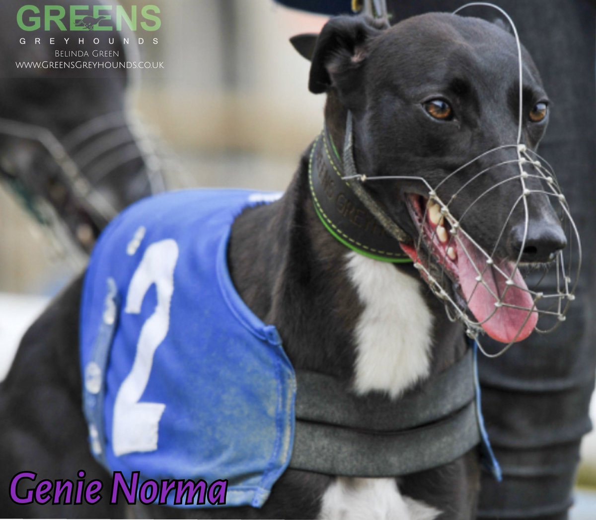 The genie is back out of the lamp. Flying out the boxes to make all in todays D3 for Amberstone racing #TeamGREEN @kingsleh