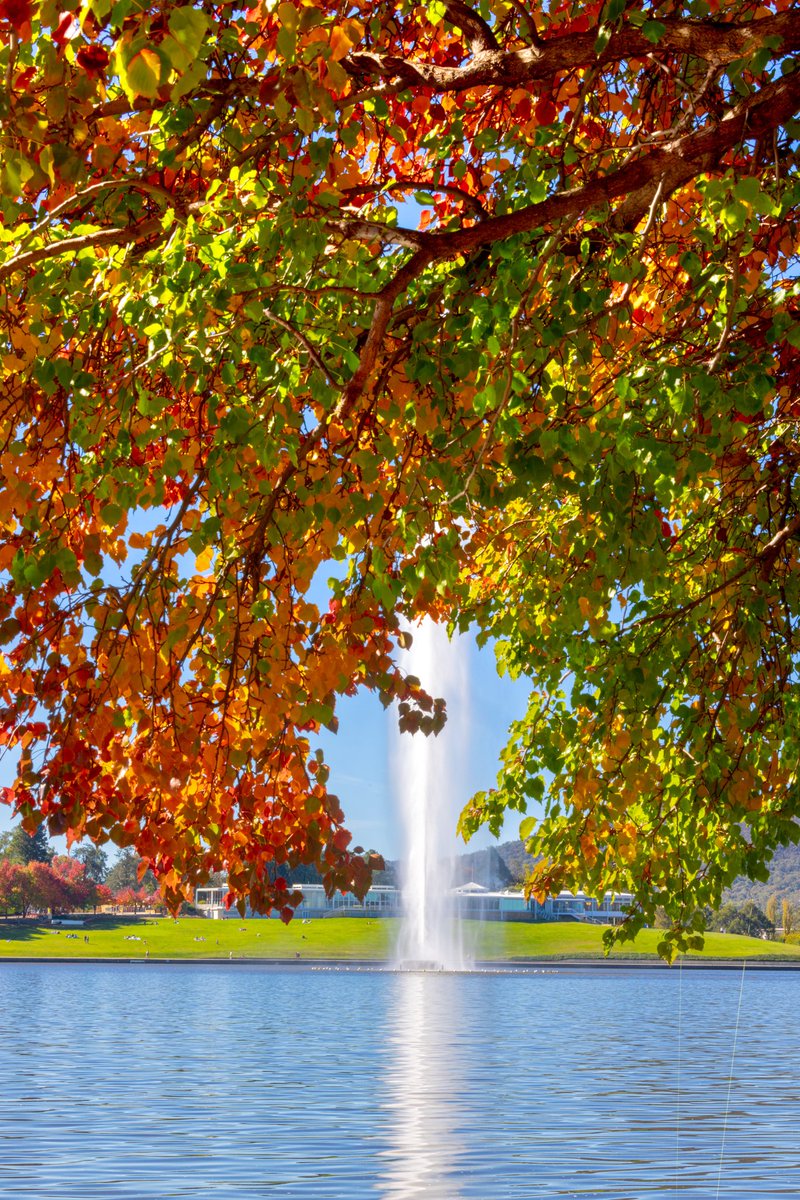 SPLASH ... the weekend is here!!!! Have a fabulous autumnal weekend. 💦🍂❤️ . . . #captaincookfountain #tgif #helloweekend #canberra #bluesky #lakeburleygriffin @Australia @visitcanberra