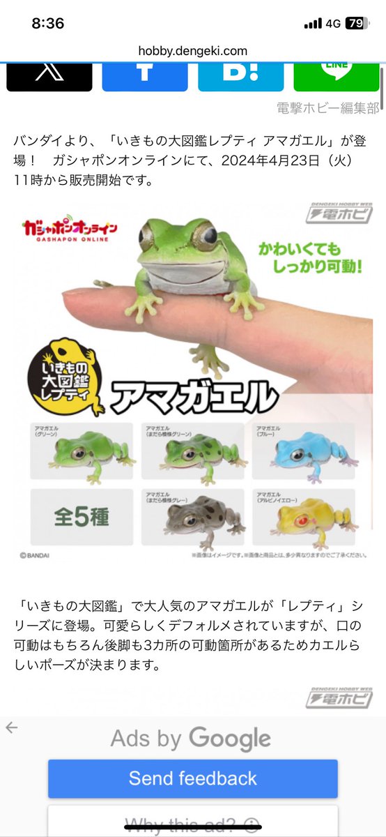 fujimasafrog tweet picture