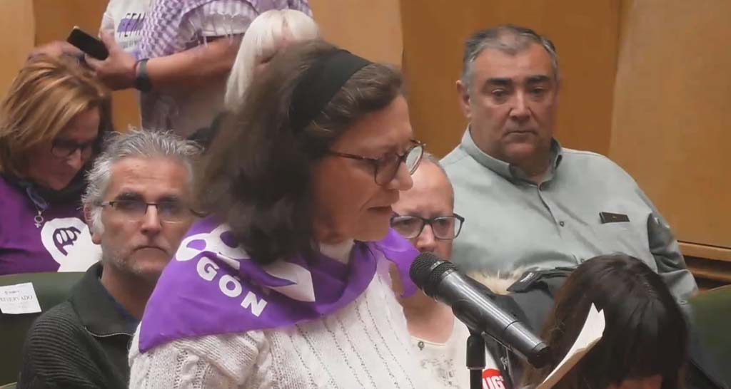 Vox, con el apoyo del PP, mantiene la 'guerra cultural' contra el feminismo en Zaragoza. Una moción del partido ultraderechista, presentada al pleno de este jueves, provocaba la justificada reacción del movimiento feminista y de la oposición: arainfo.org/?p=286521