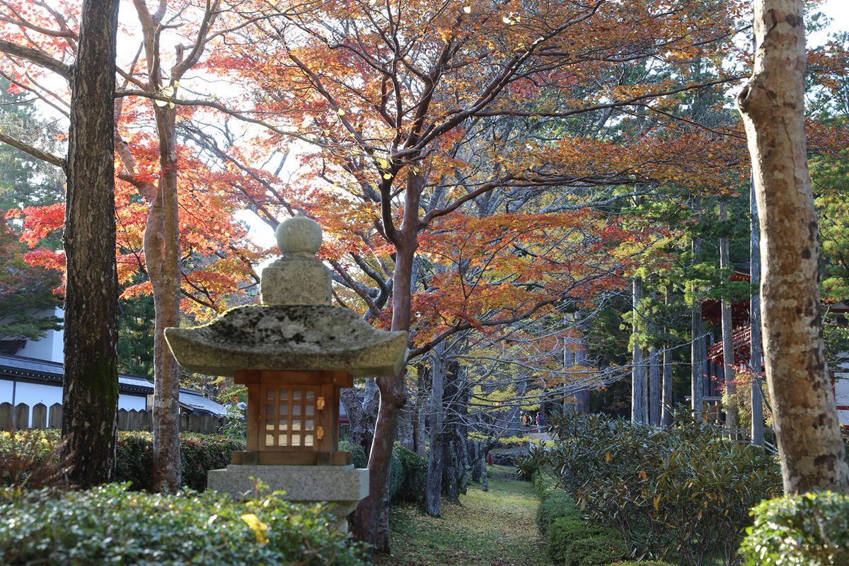 GoWithGuide's tweet image. Today we&apos;re in lovely Japan, touring #mountkoya with #localexpert guide Shuji O. and traveler Carey E. who experienced a “Great guide with good historical knowledge” 
Photo Credits: Shuji O. (tour guide) check him out here! gowithguide.com/supplier/46733
