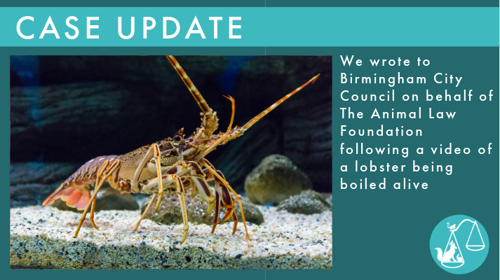 Lobsters are protected from avoidable pain and suffering under the Welfare of Animals at the Time of Killing Regulations. Despite this lobsters are still being boiled alive. We are representing @AnimallawFDN to challenge this