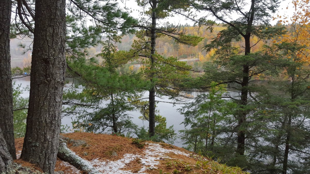 Wake up to this view every morning - the perfect start to your day.