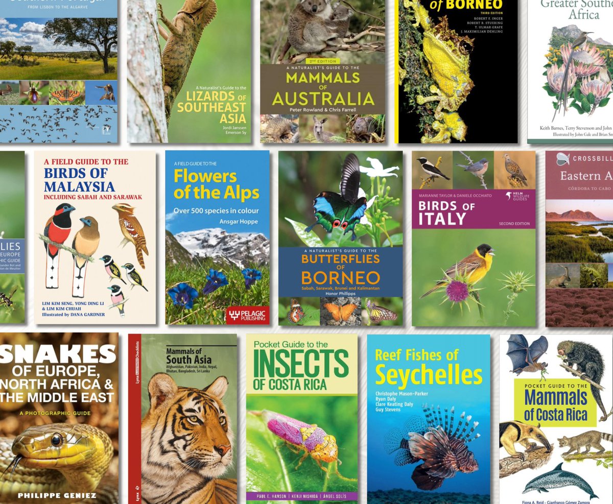 Explore our extensive selection of worldwide field and identification guides, essentials for your wildlife watching holidays this summer, at nhbs.com/2/field-guides…

#fieldguides #idguides #travelguides #identification #guides #wildlife #conservation #crossbillguides #travel