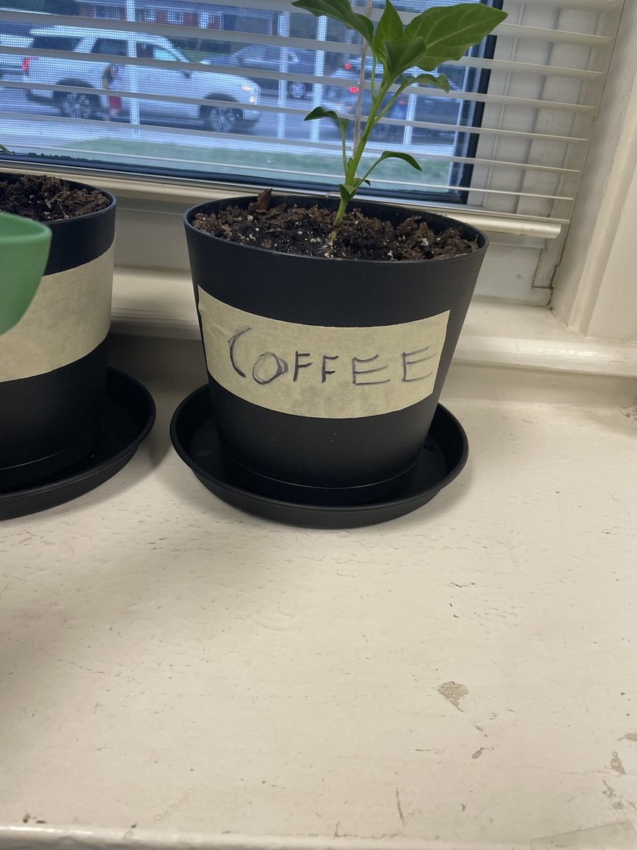 We have a 5th gr science fair on May 14th & these 2 students are tying #sustainableenergy lessons on plant growth into their project! #TeamUCPS @AGHoulihan @UCPSNC