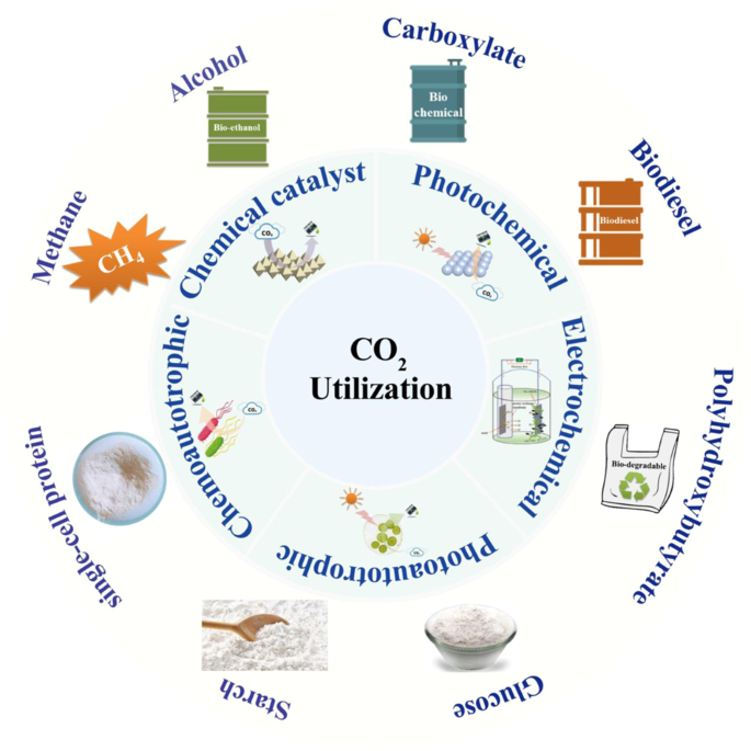 New in #npjmatsustain: Researchers review the microbial conversion of carbon dioxide into premium medium-chain fatty acids Read here for FREE: nature.com/articles/s4429… #openaccess #Sustainability #Co2Emissions