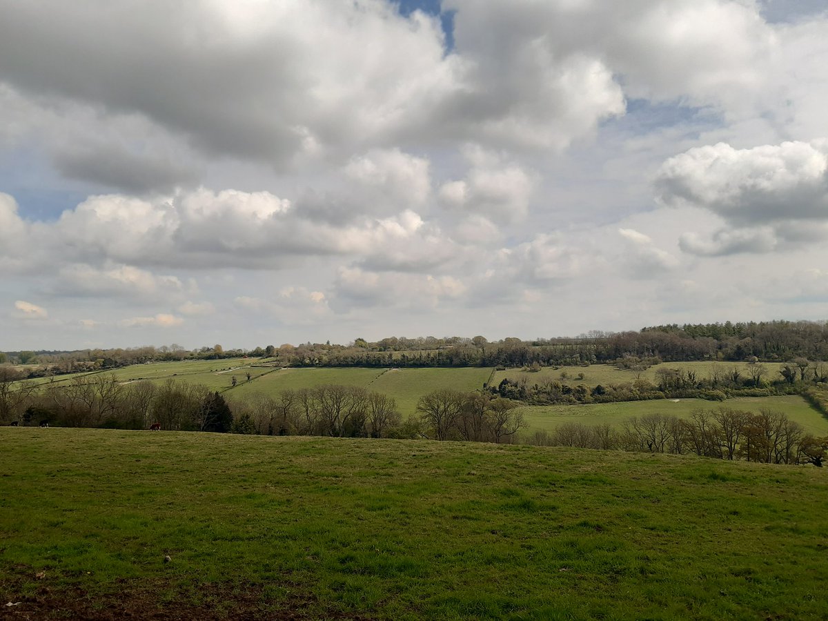 HCACPDofE's tweet image. Spot the DofE groups #49 &amp;amp; #50