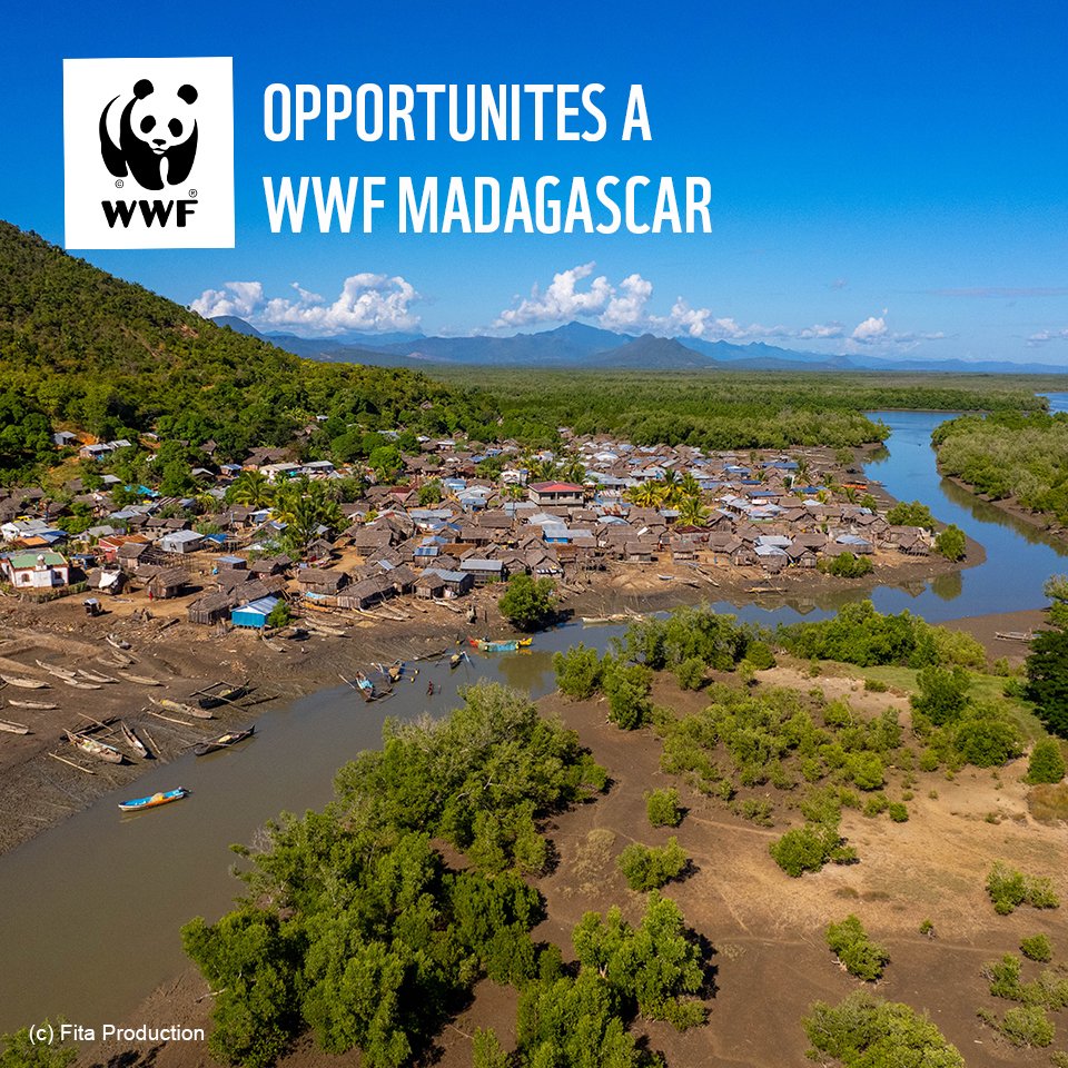 Opportunity of short–term consultancy : Support increasing the WWF Africa Adaptation Hub portfolio. Follow the link for more details. 👉 bit.ly/3JCOtTK Good luck!