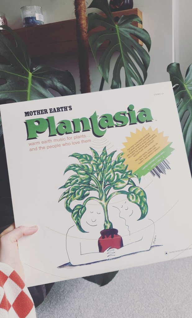 Time to jam to some Plantasia🌿 My first record is music for my plants, I hope they enjoy the tunes 💚