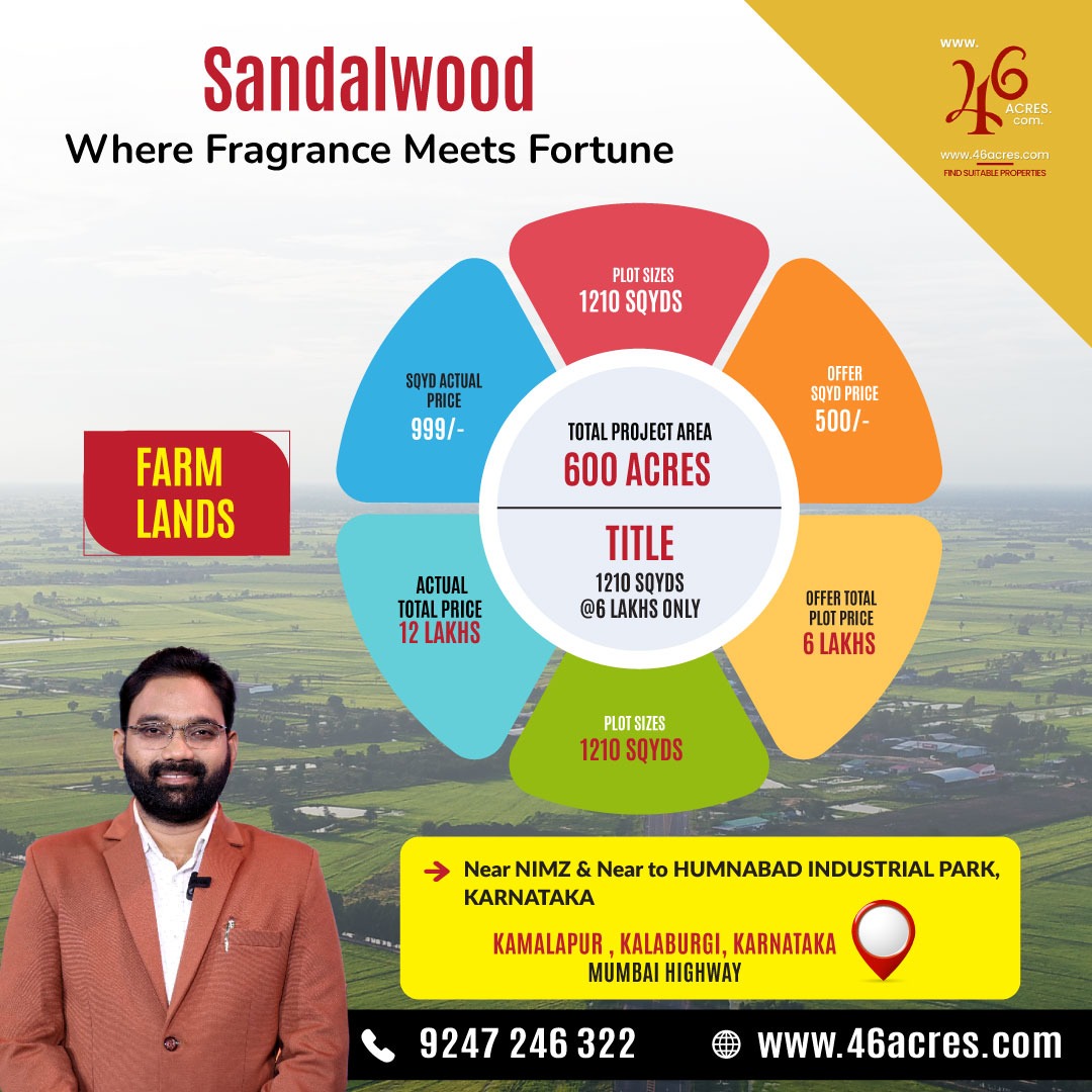 Discover the serene beauty of our sandalwood farmland nestled amidst nature's embrace. 🌿
#sandalwood #farmland #naturelovers #tranquility #serenity #dreamscape #greenliving #sustainablefarming #organiclife #earthconnection #harmonywithnature #meditativejourney #growyourfuture