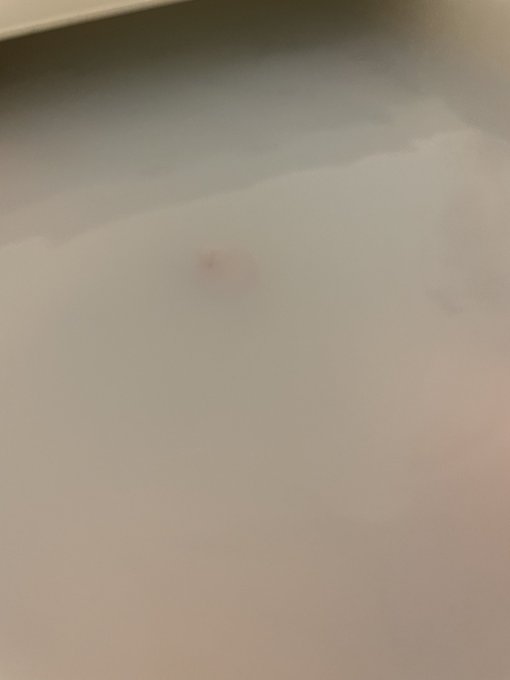 湖の怪物！？ https://t.co/Nb7l5uPFaC<a href="/tag/%E9%B3%B4%E6%BD%AE"class="tags"><span>#鳴潮</span></a>