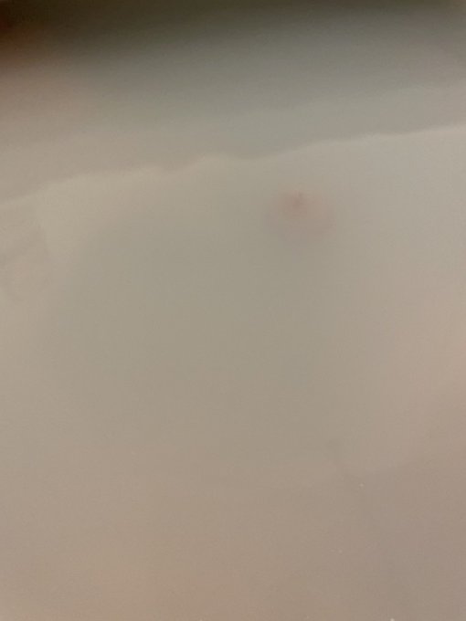 湖の怪物！？ https://t.co/Nb7l5uPFaC<a href="/tag/%E9%B3%B4%E6%BD%AE"class="tags"><span>#鳴潮</span></a>