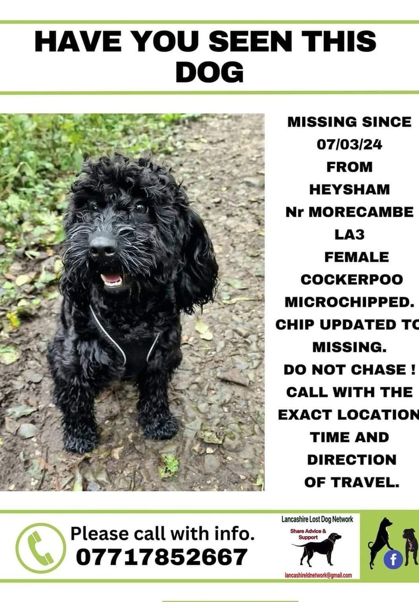 MissingPetsGB tweet picture