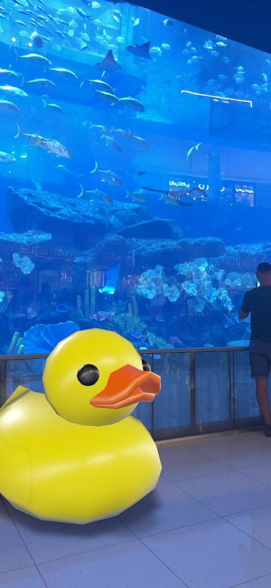 A SHORT STORY ON BEING EPIK

#DUCKSOUT

FIRSTLY MR EPIK STOPS OFF AT THE DUBAI MALL AQUARIUM AND GETS A MANDATORY PIC