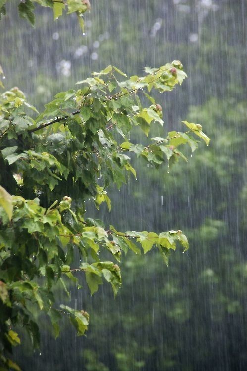 It's raining here in Mianwali... ⛈️