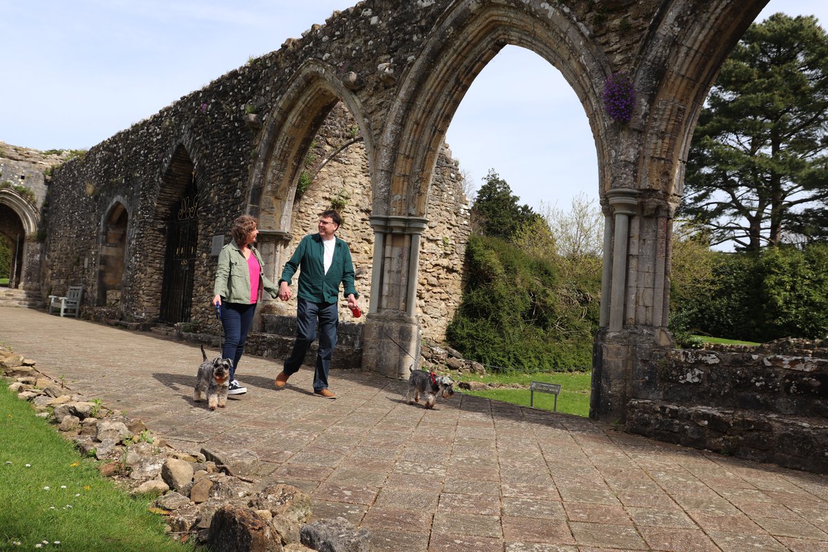 The weekend is the perfect time to explore our stunning grounds and gardens🍃, with dogs welcome in the outside areas of the attraction too! 🐾 beaulieu.co.uk #groundsandgardens #weekendwalks #dogwalk #beaulieu
