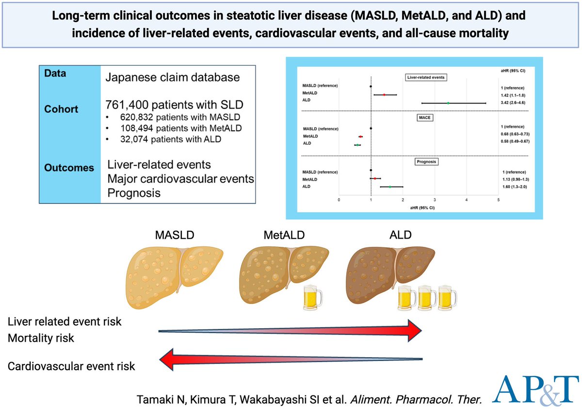 'Long-term clinical outcomes in steatotic liver disease and incidence of liver-related events, cardiovascular events and all-cause mortality' now published at bit.ly/3xTOJLh #SLD #Livertwitter #MASLD #MetALD