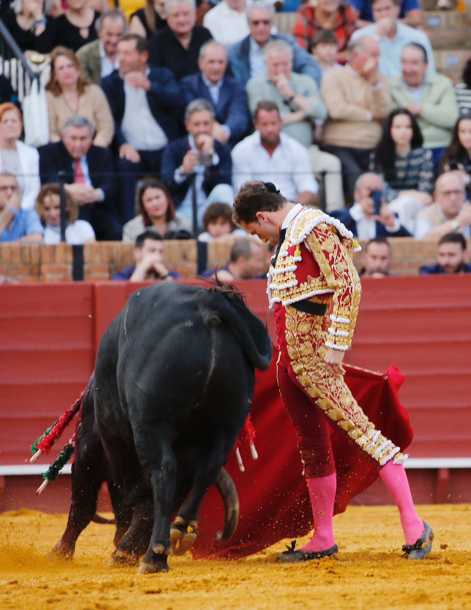 🚨ÚLTIMA HORA 🔁 𝐂𝐀𝐋𝐄𝐑𝐈𝐓𝐎 sustituirá a Juanito este domingo en la 𝐏𝐥𝐚𝐳𝐚 𝐝𝐞 𝐭𝐨𝐫𝐨𝐬 𝐝𝐞 𝐋𝐚𝐬 𝐕𝐞𝐧𝐭𝐚𝐬. 👉🏼Estoqueará la corrida de Aráuz de Robles junto a Curro Díaz y David de Miranda.