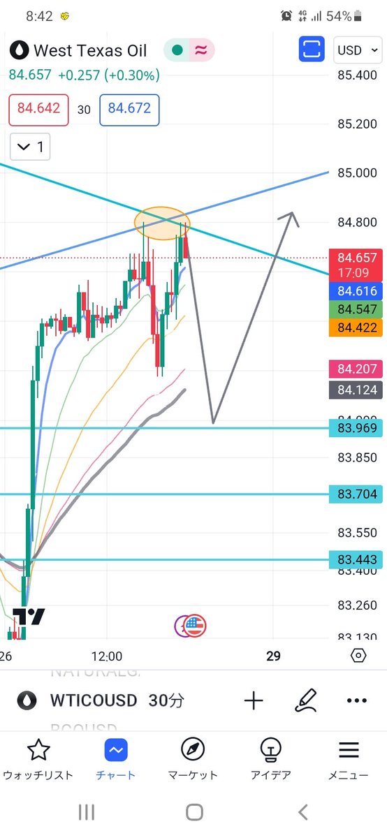 これ抜けれなかったら84.000くらいまでは下げるかな。

#WTI
#USOIL