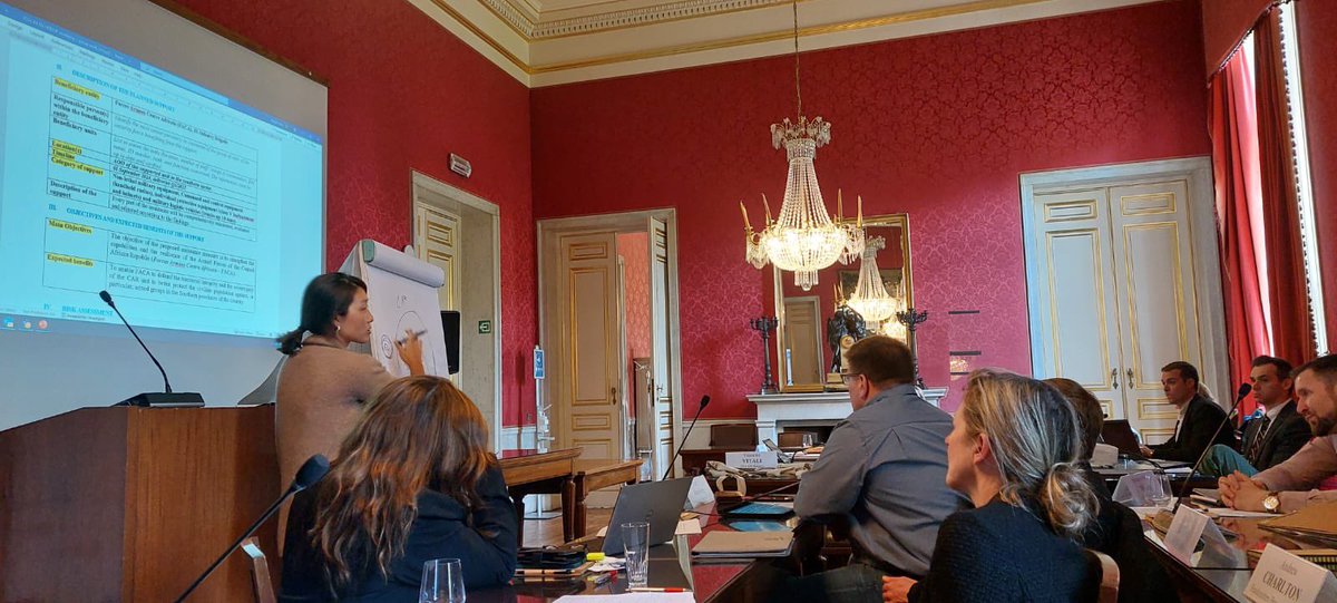 Yesterday @EgmontInstitute concluded the pilot training on #HumanRights and #DueDiligence policy 📑 HR experts in Brussels connected with colleagues from the 🇪🇺 civilian missions and came to understand that HR cannot be implemented in a vacuum. Big thanks to everyone involved!⭐️