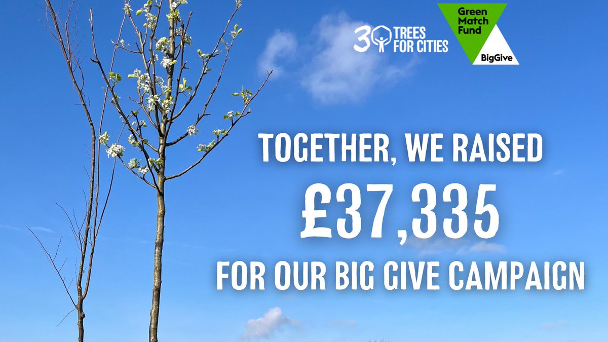 We raised £37,355 for our urban trees 🥳🌳 A great big thank you to everyone who donated to our Talking Trees: Taking Action for Towns and Cities @BigGive #GreenMatchFund campaign!