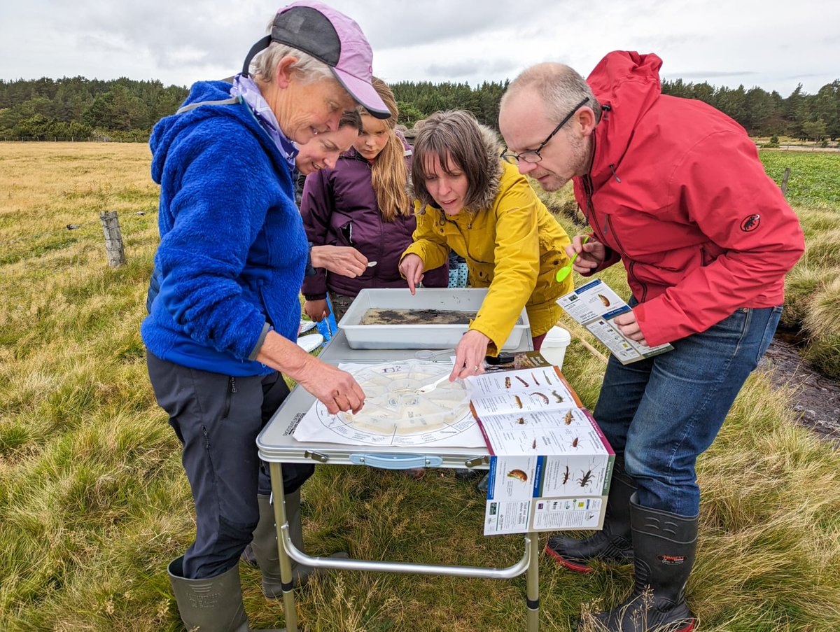 Spey Catchment Initiative (@speycatchment) on Twitter photo ๐ฟ Become a guardian of our river! ๐
With <a href="/BuglifeScotland/">BuglifeScotland</a> we have organised two training courses for people interested in learning about Spey invertebrates.
Both training courses are on Sunday 5th May.
Sign up here - info@speycatchment.org
And please spread the word!๐ ๐ฟ Become a guardian of our river! ๐
With <a href="/BuglifeScotland/">BuglifeScotland</a> we have organised two training courses for people interested in learning about Spey invertebrates.
Both training courses are on Sunday 5th May.
Sign up here - info@speycatchment.org
And please spread the word!๐