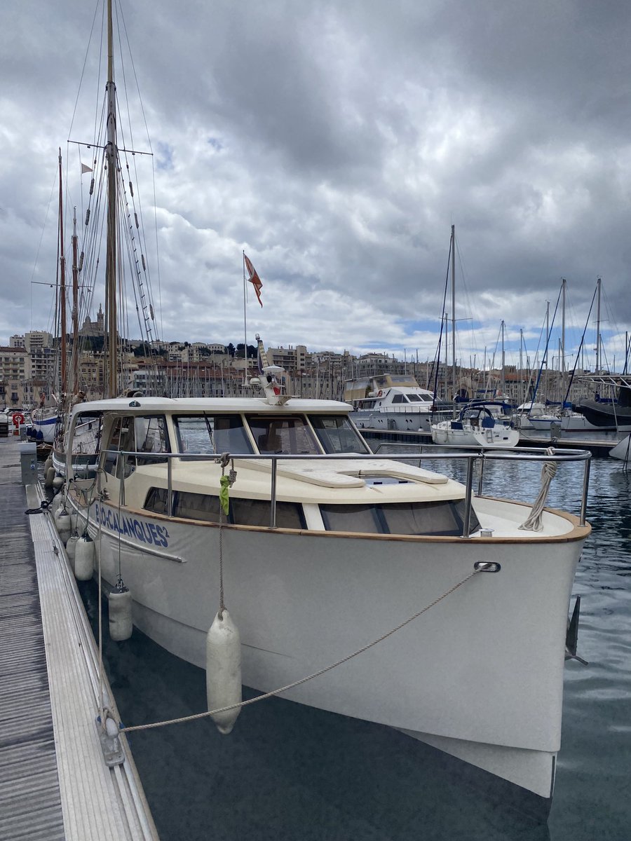 orovellotti tweet media