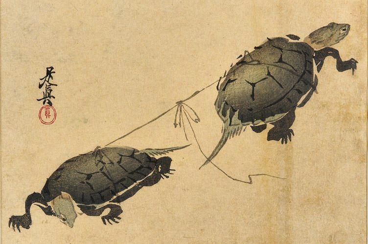 «Две черепахи»
Художник Сибата Дзэсин, Япония, XIX век