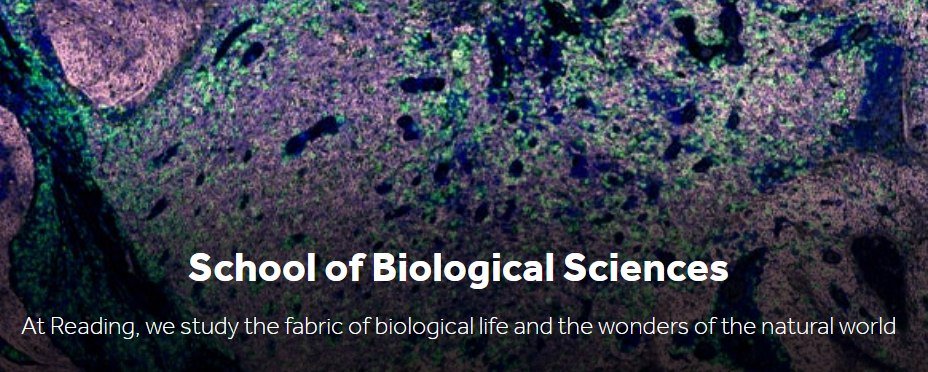 🔬🧫🦠 Passionate about teaching and research in #BiologicalSciences ? Check out this fully funded 4-year opportunity @ReadingBioSci which combines a teaching role with PhD research jobs.reading.ac.uk/Job/JobDetail?…
#phdscholarship #phdposition #biology