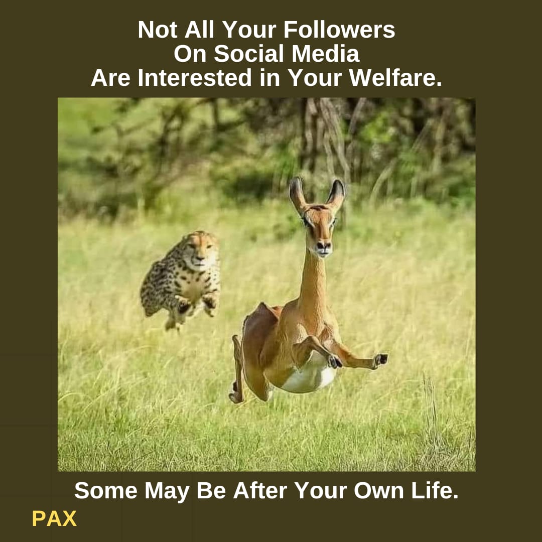 FOLLOWERSHIP IS NOT ALWAYS FRIENDSHIP.